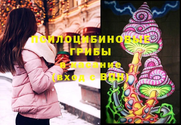 ешки Алзамай