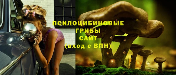 мяу мяу мука Алексин