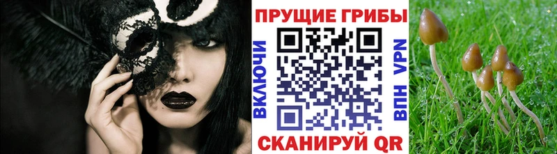 Галлюциногенные грибы MAGIC MUSHROOMS  Темрюк 